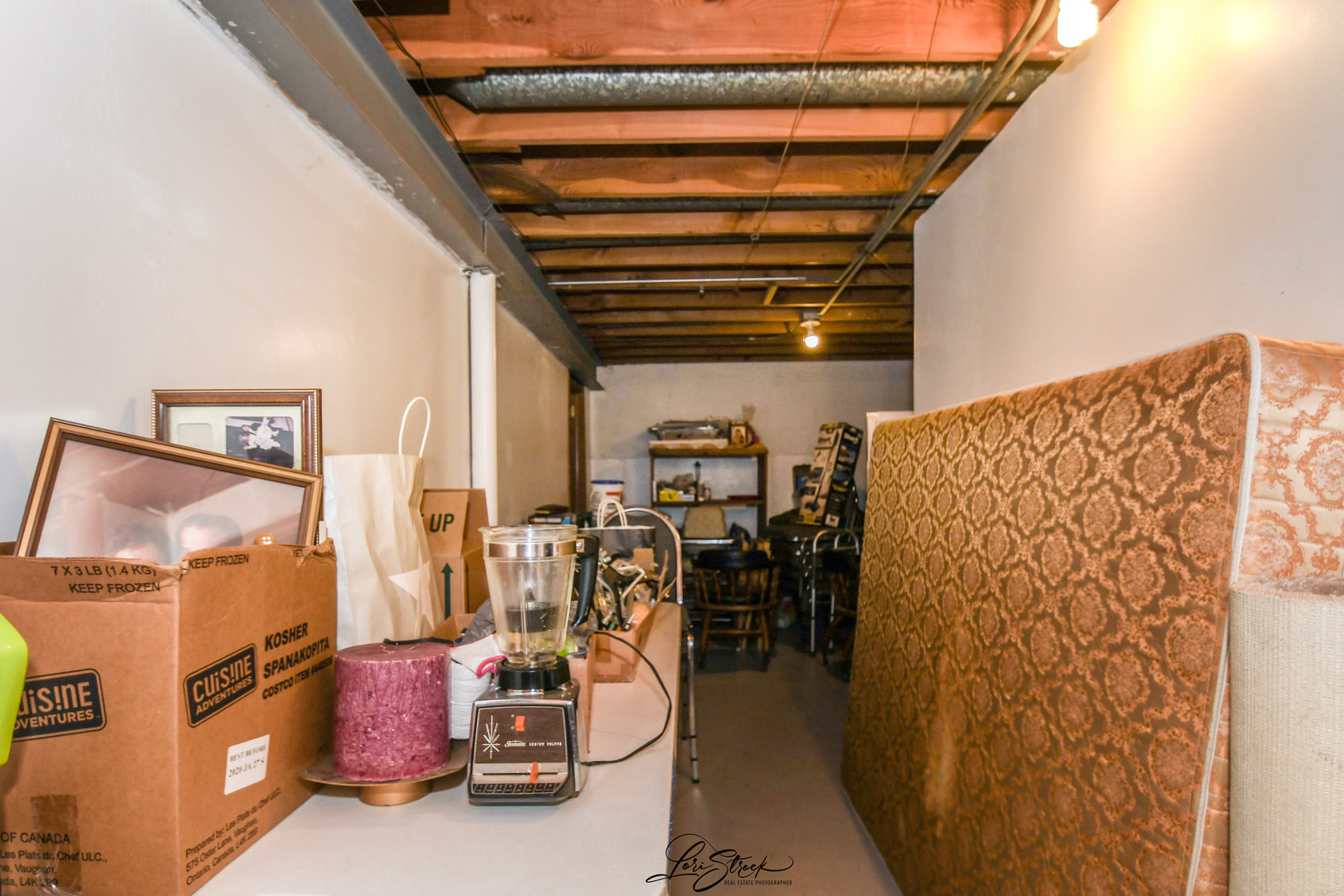 3409 173rd Place Lansing, IL 60438 - Photo 21 of 26 a view of storage and utility room