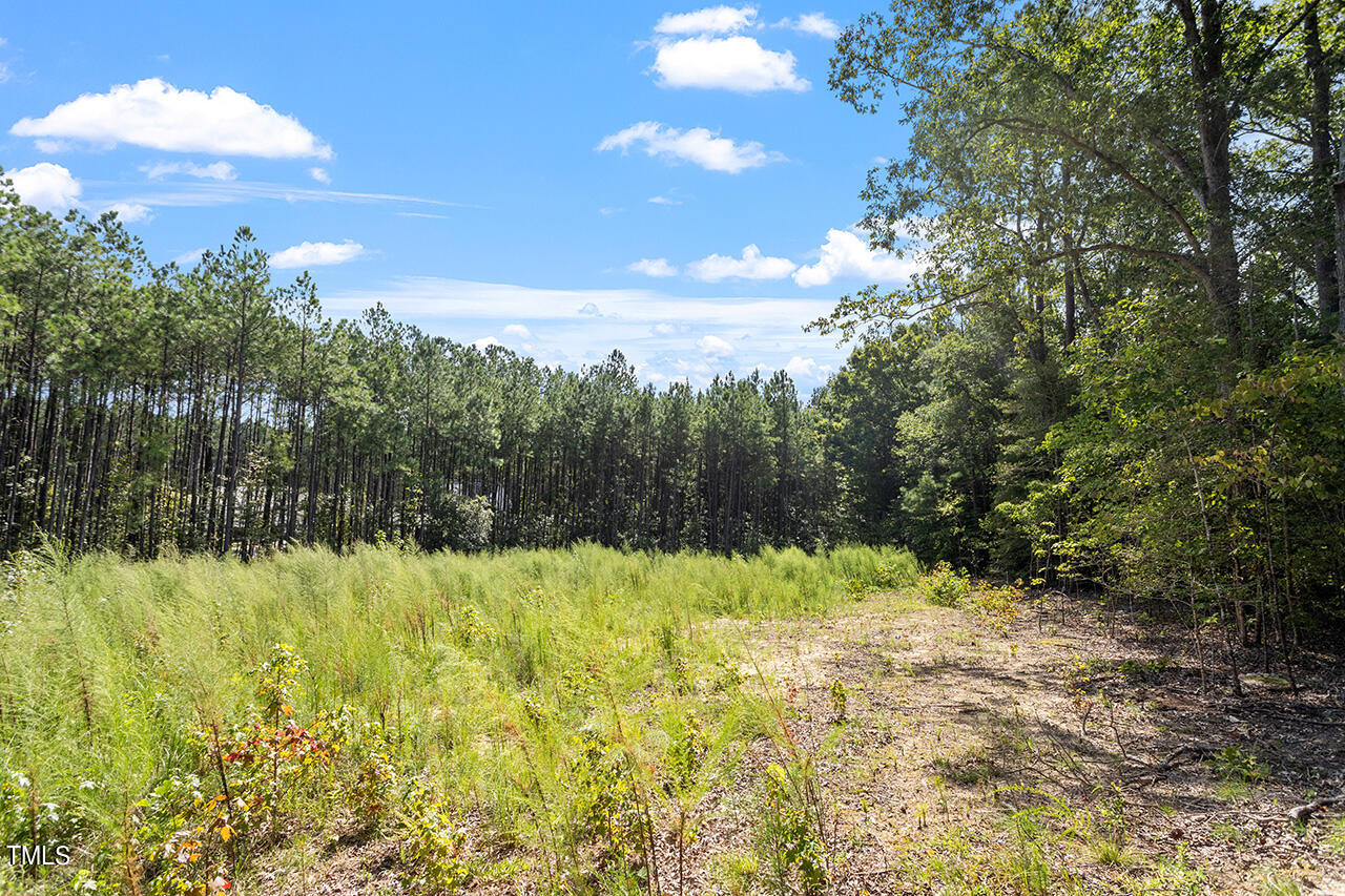 7524 Mitchell Mill Road Zebulon, NC 27597 - Photo 20 of 23 7524 Mitchell Mill Road_19