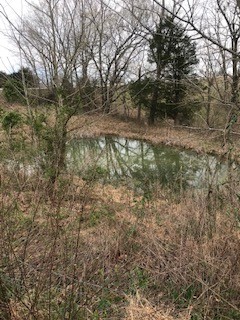 2154 Union Camp Road Lafayette, TN 37083 - Photo 5 of 23 a view of forest