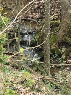 2154 Union Camp Road Lafayette, TN 37083 - Photo 7 of 23 a backyard of a building with a tree