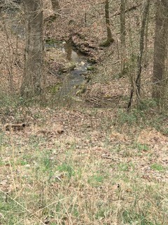 2154 Union Camp Road Lafayette, TN 37083 - Photo 8 of 23