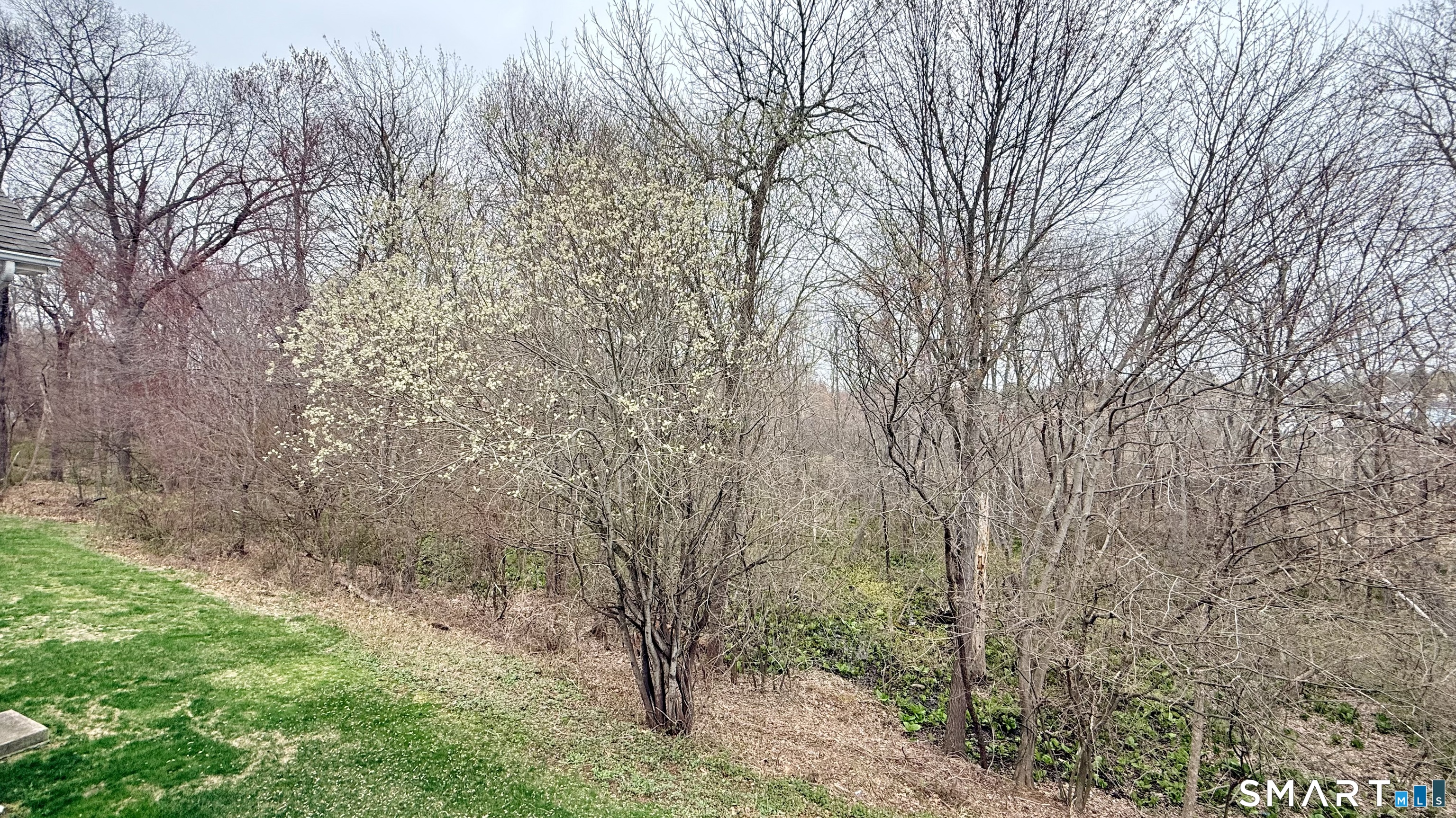 55 Nina's Way, Unit 55 Manchester, CT 06040 - Photo 25 of 25 a view of a yard with a tree