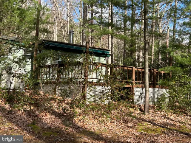 a view of a tree with a yard