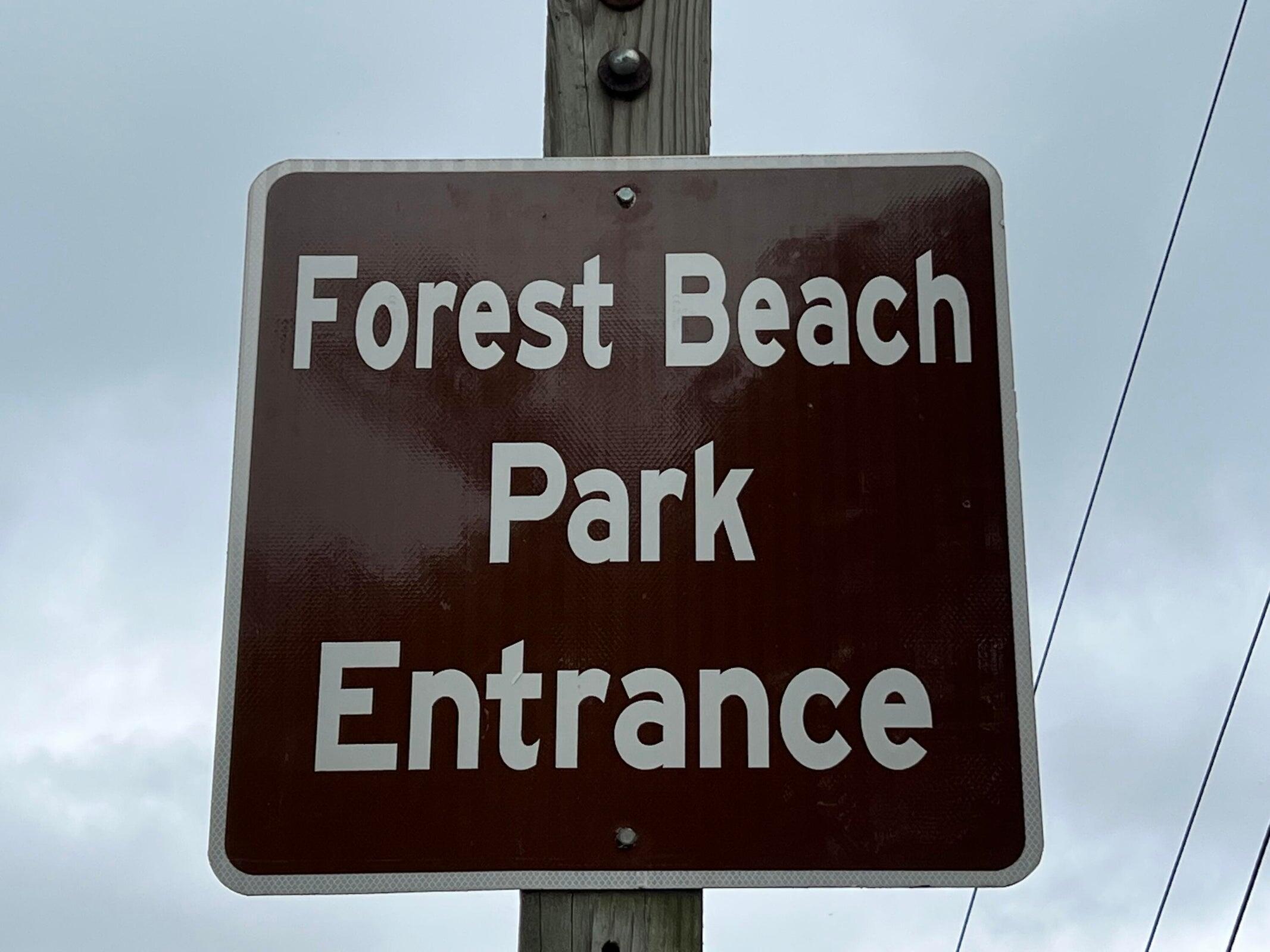 8243 Forest Beach Road Watervliet, MI 49098 - Photo 31 of 37 32