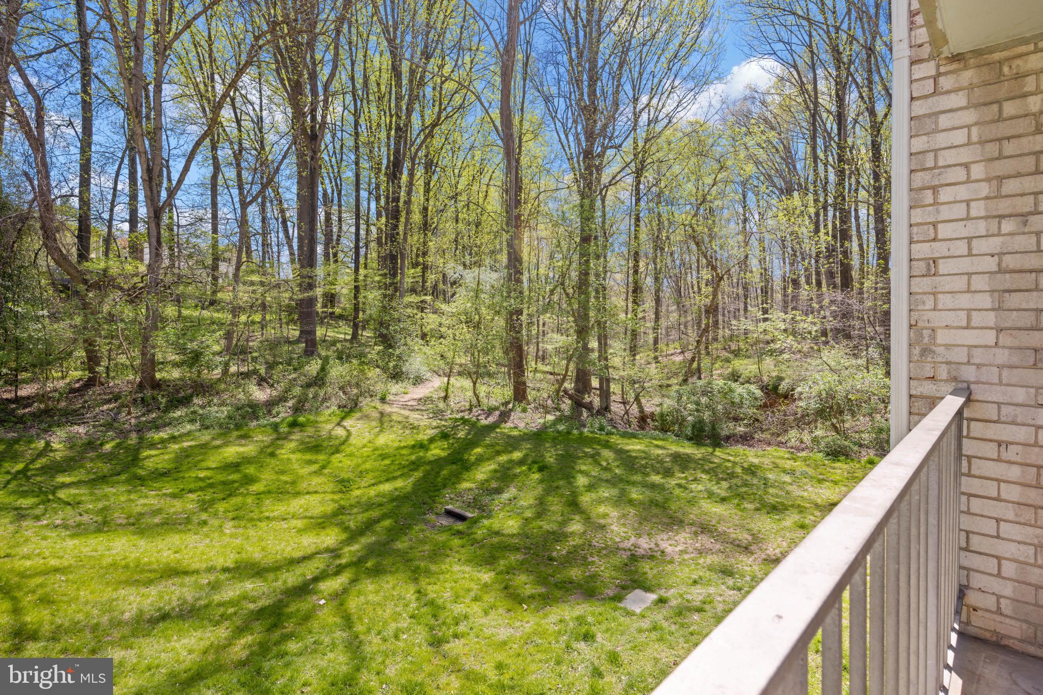 14432 Parkvale Road, Unit 4 Rockville, MD 20853 - Photo 14 of 16 Serene Wooded Privacy