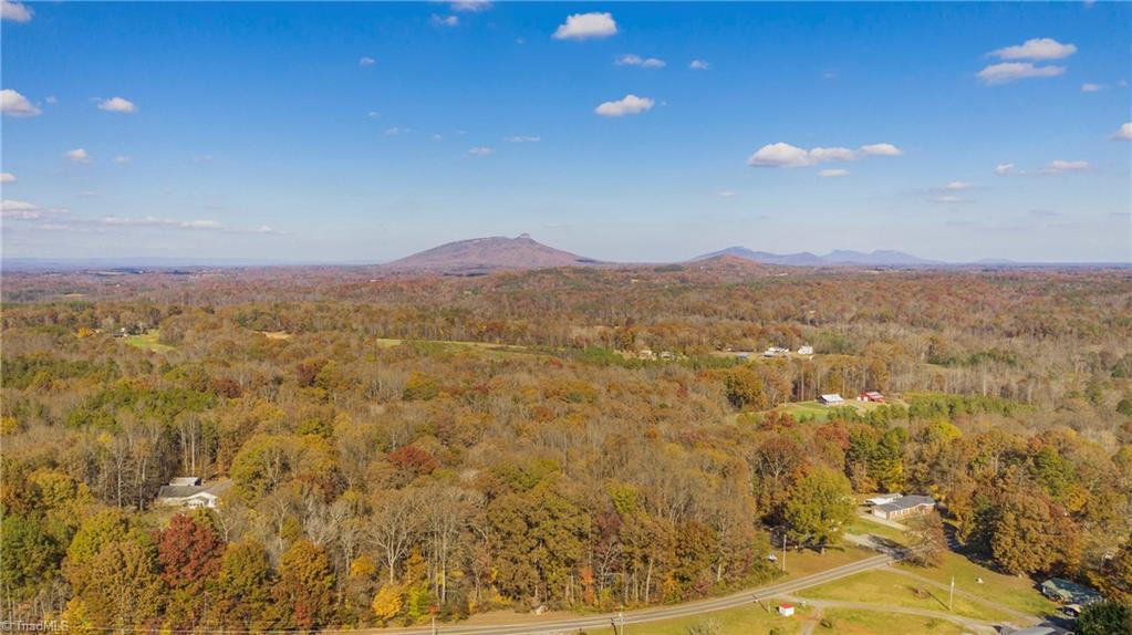 1 Friendship Circle Road East Bend, NC 27018 - Photo 16 of 20 Gallery Image 16