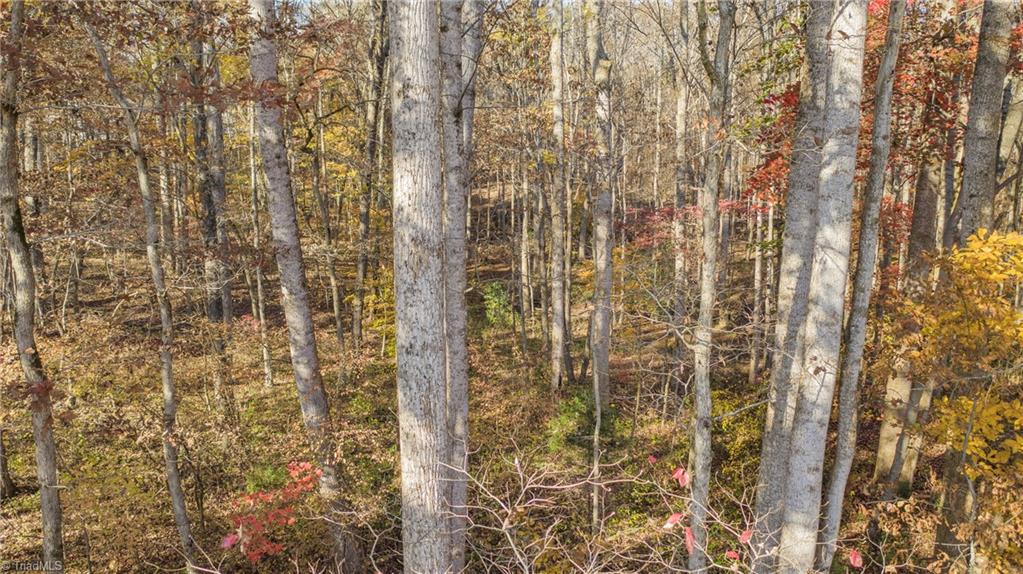 1 Friendship Circle Road East Bend, NC 27018 - Photo 4 of 20 Gallery Image 4