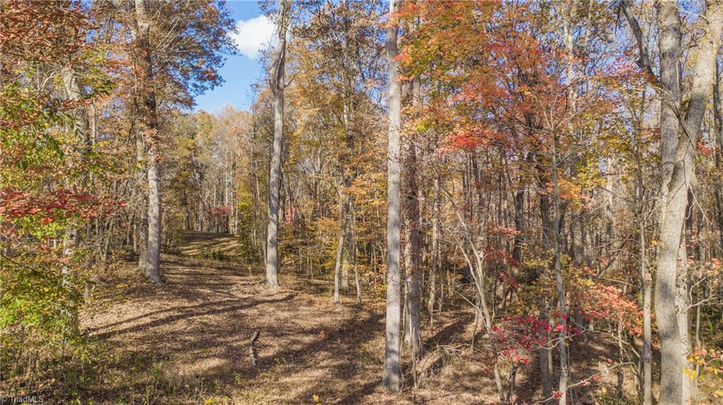 1 Friendship Circle Road East Bend, NC 27018 - Photo 5 of 20 Gallery Image 5