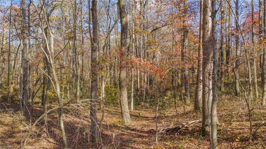 1 Friendship Circle Road East Bend, NC 27018 - Photo 6 of 20 Gallery Image 6