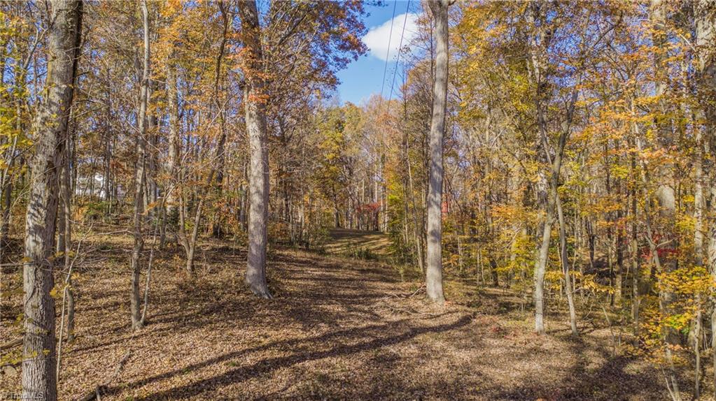 1 Friendship Circle Road East Bend, NC 27018 - Photo 7 of 20 Gallery Image 7