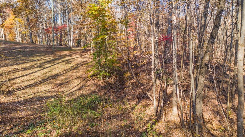 1 Friendship Circle Road East Bend, NC 27018 - Photo 8 of 20 Gallery Image 8