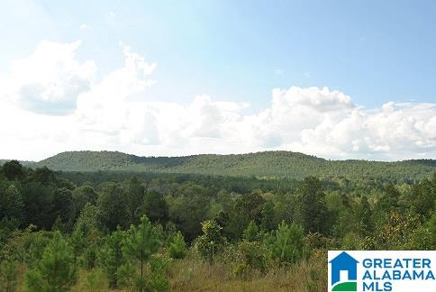 Bluff Springs Road Ashland, AL 36251 - Photo 1 of 12