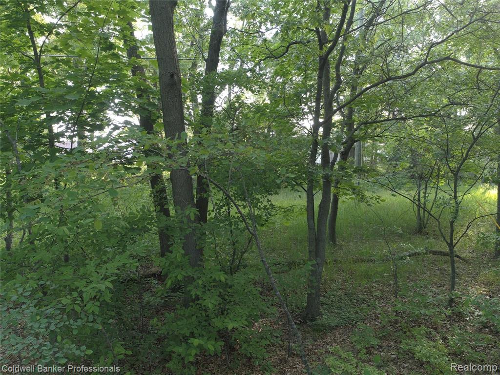 4561 Port Austin Road Caseville, MI 48725 - Photo 11 of 26