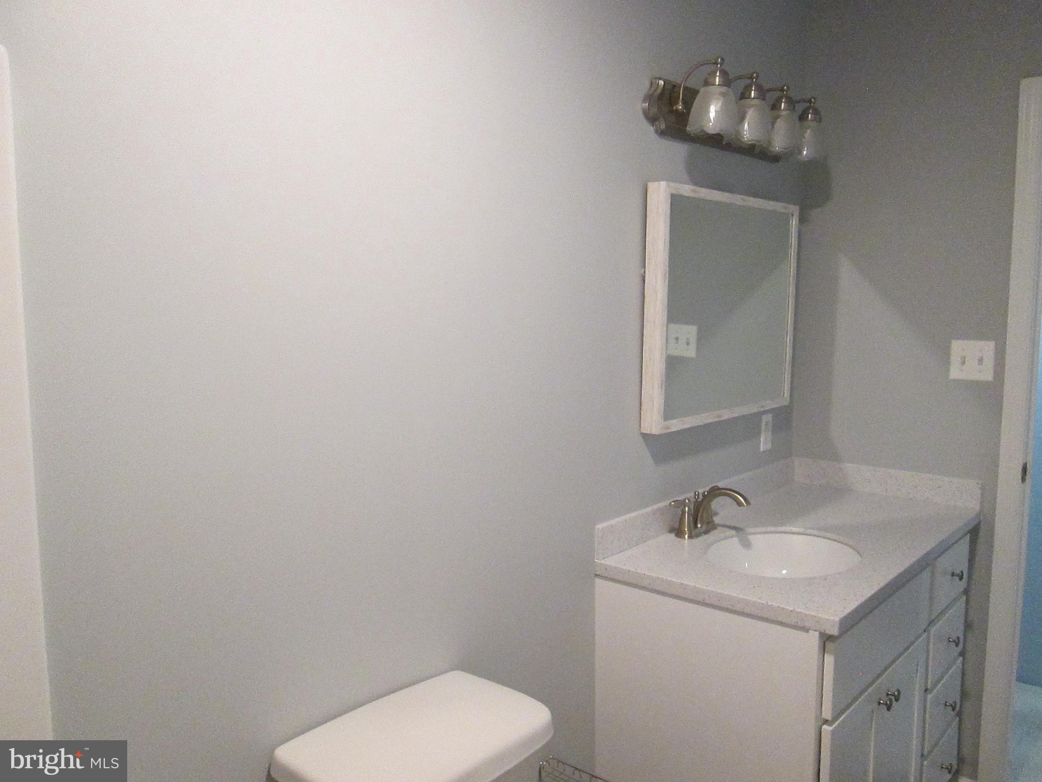 309 Liberty Road Federalsburg, MD 21632 - Photo 12 of 40 Bath