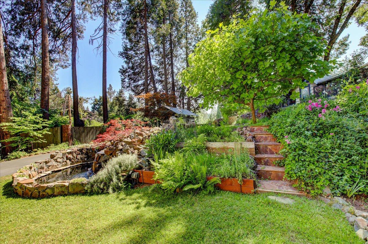 13784 Greenhorn Road Grass Valley, CA 95945 - Photo 57 of 87