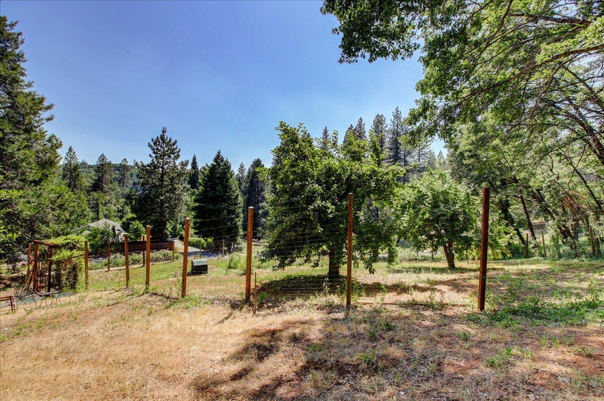 13784 Greenhorn Road Grass Valley, CA 95945 - Photo 59 of 87