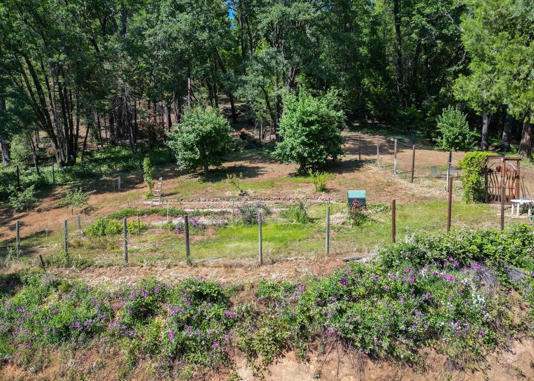 13784 Greenhorn Road Grass Valley, CA 95945 - Photo 60 of 87 Large Fenced Garden