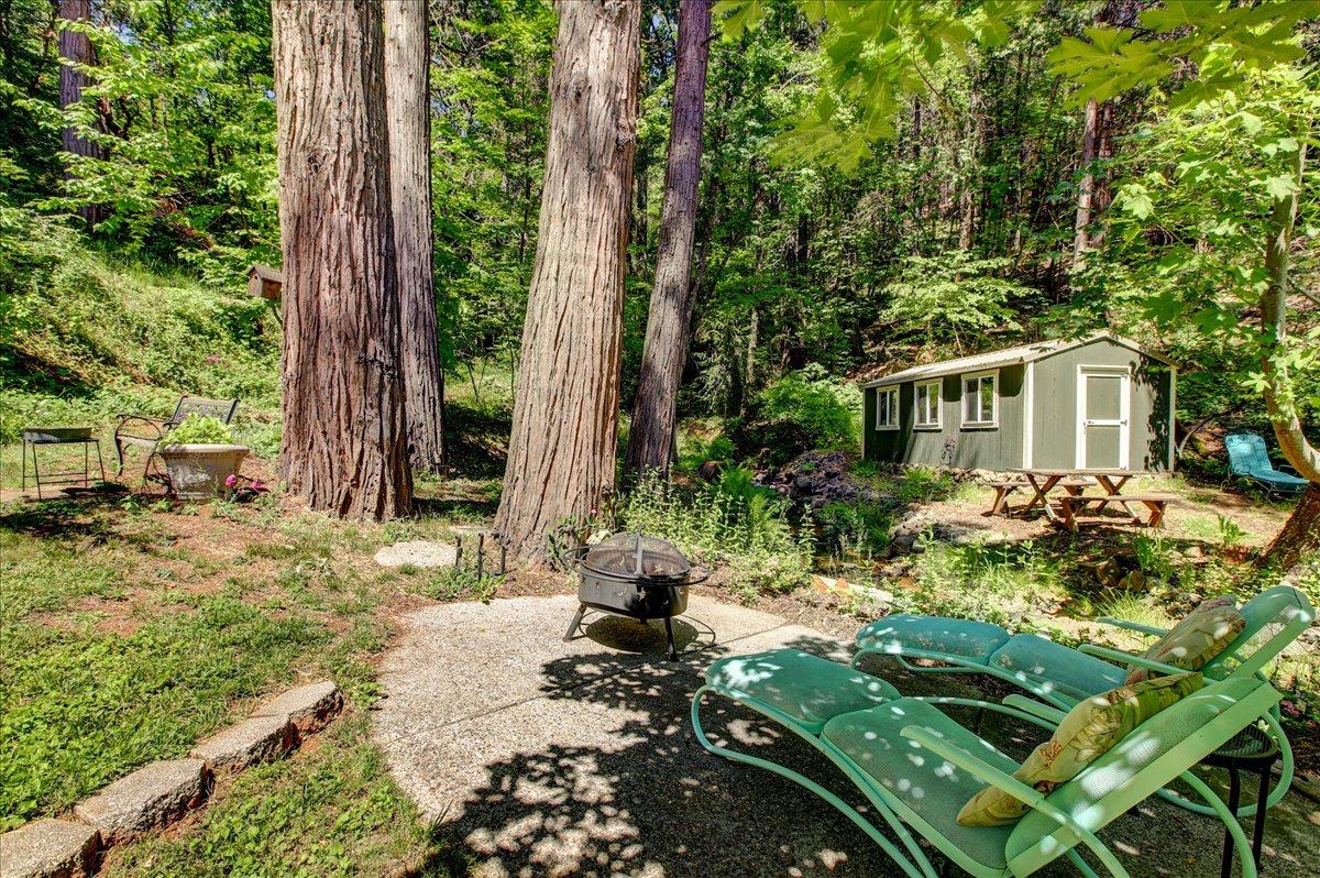 13784 Greenhorn Road Grass Valley, CA 95945 - Photo 63 of 87
