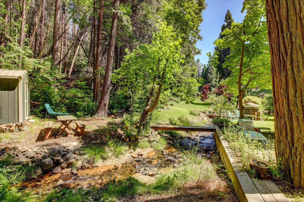 13784 Greenhorn Road Grass Valley, CA 95945 - Photo 8 of 87