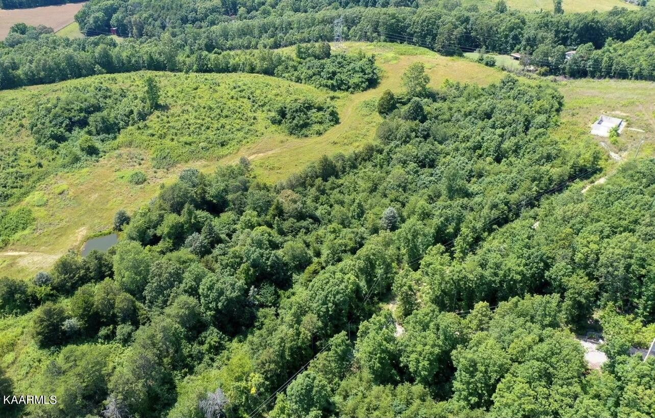 8690 Erie Road Sweetwater, TN 37874 - Photo 1 of 3 Gallery Image 1