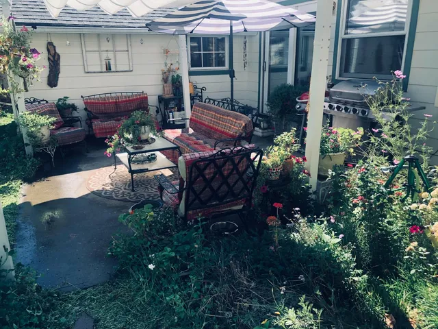 a view of a garden with flowers