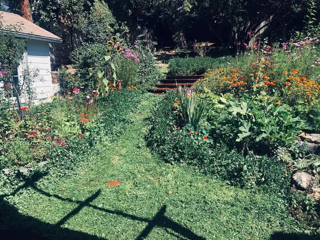 a aerial view of a house with a yard and large tree