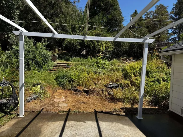 a view of a garden with plants