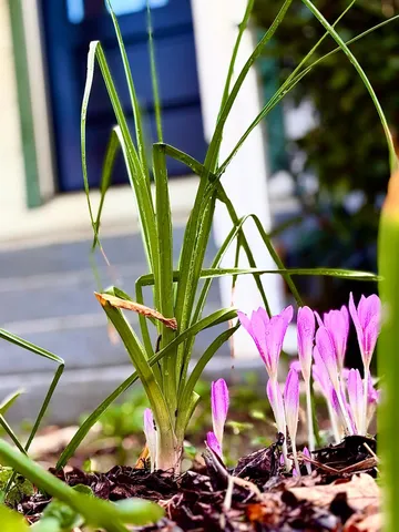 $299,500 | 36 Taylor Street, Weaverville, CA 96093