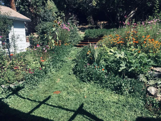 a view of a garden with flowers