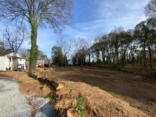 a view of dirt yard with a large tree
