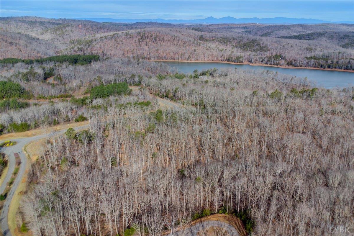 0 Talon Ridge Court Pittsville, VA 24139 - Photo 12 of 16 a view of a dry yard with green space