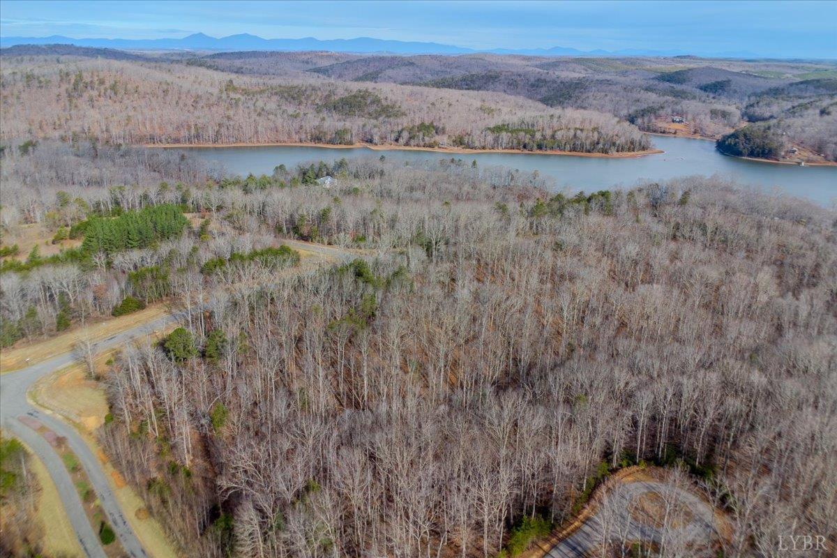 0 Talon Ridge Court Pittsville, VA 24139 - Photo 13 of 16 a view of a dry yard with wooden floor