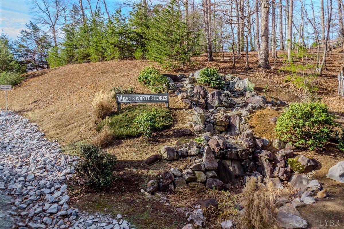 0 Talon Ridge Court Pittsville, VA 24139 - Photo 15 of 16 a view of a yard with plants and large trees