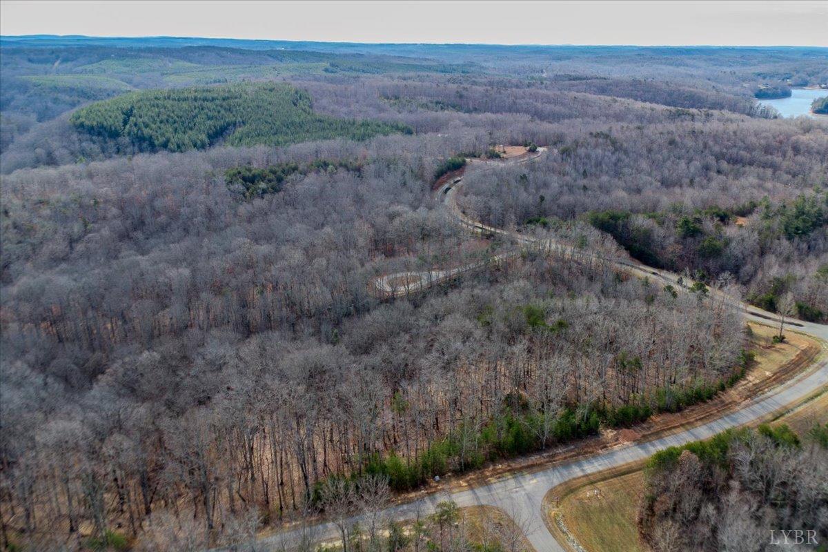 0 Talon Ridge Court Pittsville, VA 24139 - Photo 7 of 16 a view of a dry yard with green space