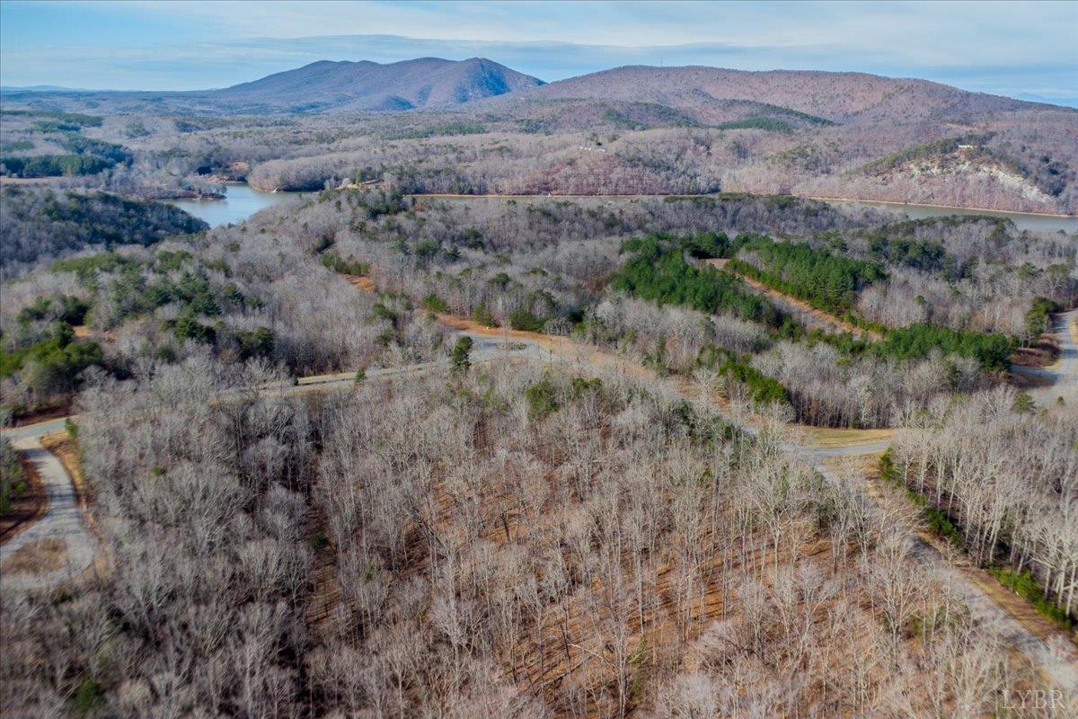 0 Talon Ridge Court Pittsville, VA 24139 - Photo 9 of 16 an aerial view of mountain and tree