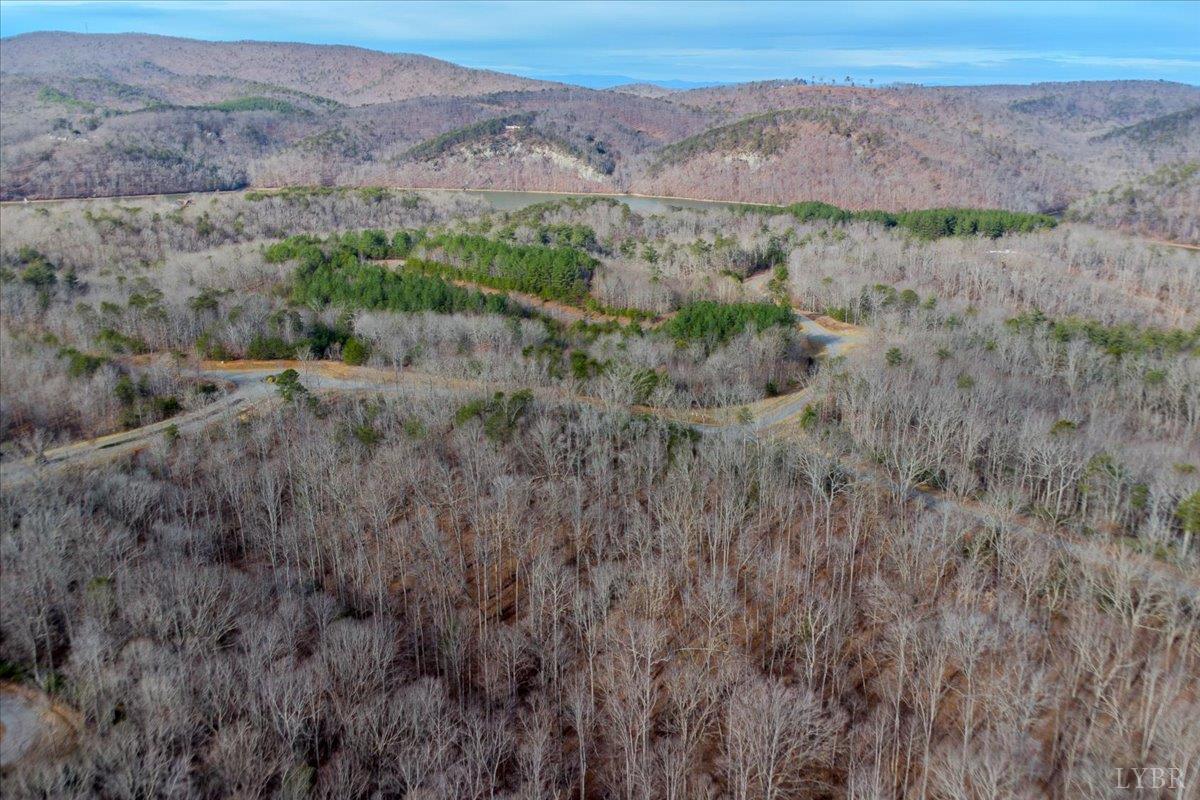 0 Talon Ridge Court Pittsville, VA 24139 - Photo 10 of 16 an aerial view of green landscape and trees