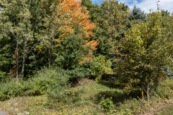 $59,900 | Lot #7 North Hill Dale, Hart, MI 49420