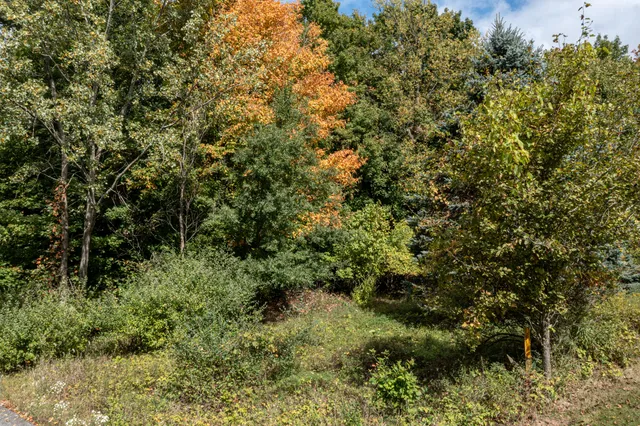 $59,900 | Lot #7 North Hill Dale, Hart, MI 49420