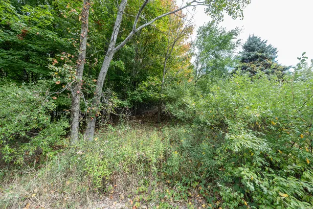 $59,900 | Lot #7 North Hill Dale, Hart, MI 49420