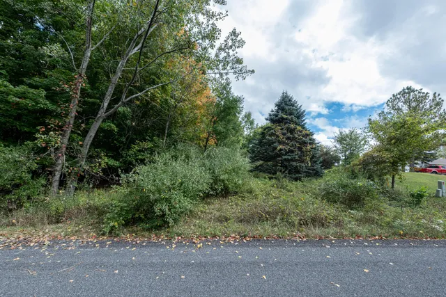 $59,900 | Lot #7 North Hill Dale, Hart, MI 49420