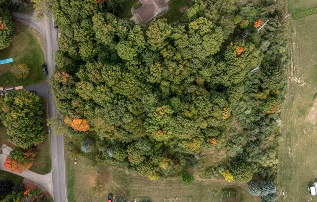 $59,900 | Lot #7 North Hill Dale, Hart, MI 49420