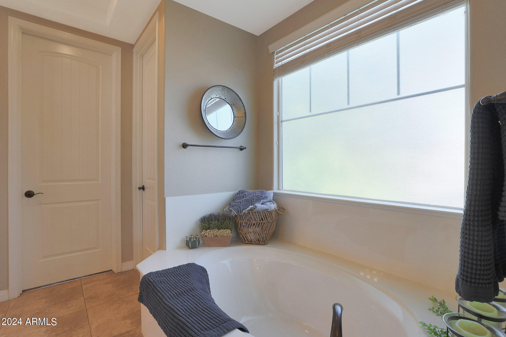 3669 East Morrison Ranch Parkway Gilbert, AZ 85296 - Photo 42 of 111 B (59)