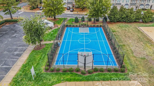 a view of a patio with plants and large trees