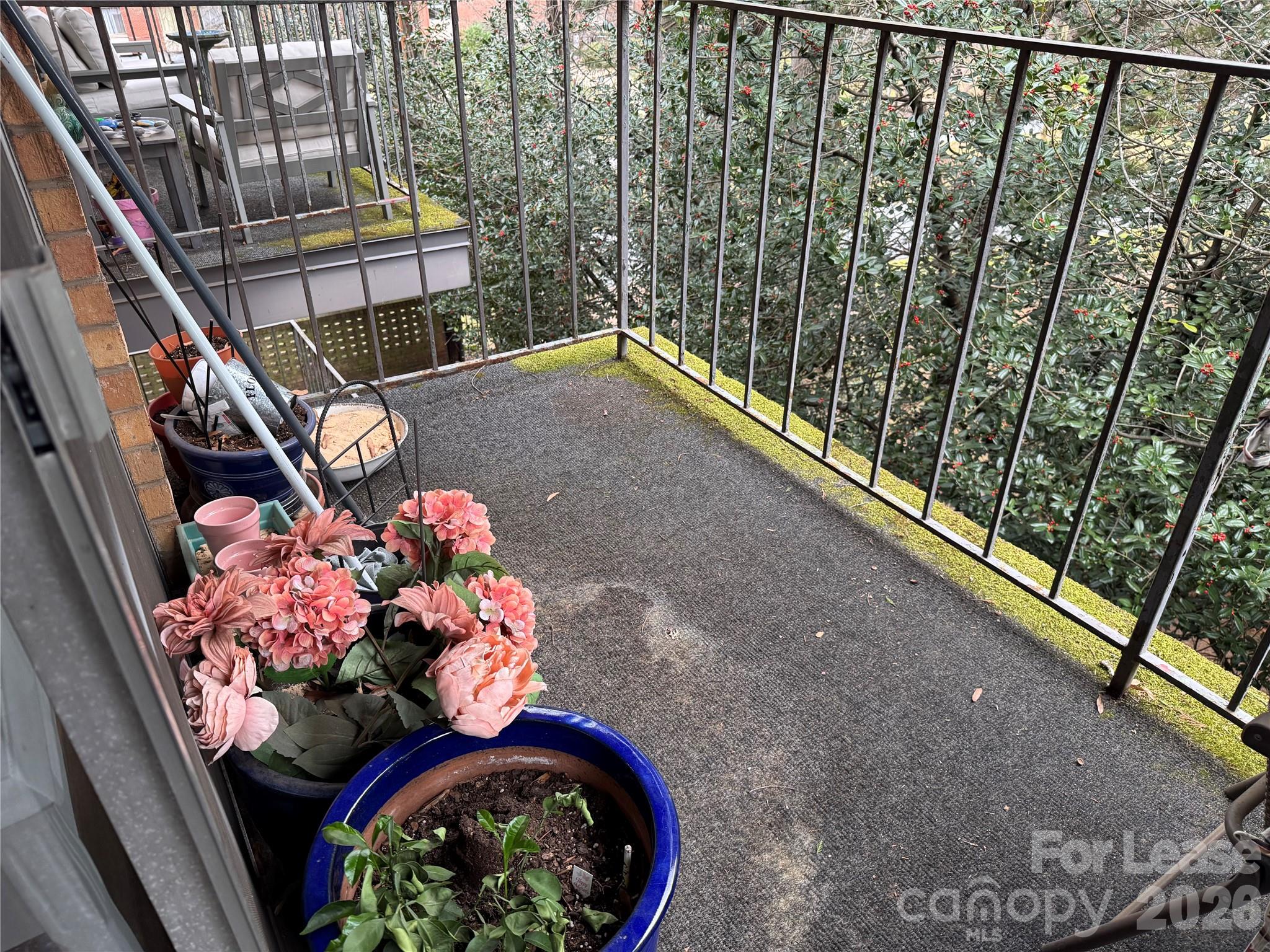 1323 Queens Road, Unit 303 Charlotte, NC 28207 - Photo 19 of 40