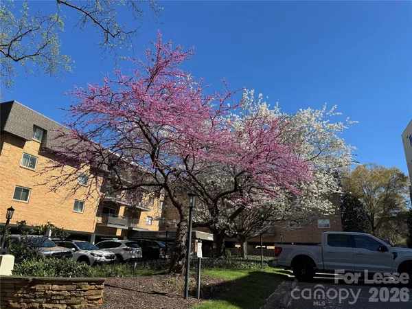 $1,975 | 1323 Queens Road, Unit 303, Charlotte, NC 28207