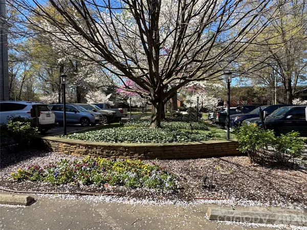 $1,975 | 1323 Queens Road, Unit 303, Charlotte, NC 28207