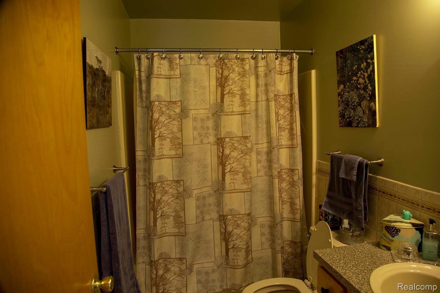 1715 Arenac State Road Omer, MI 48749 - Photo 9 of 22 mbath1.jpg
