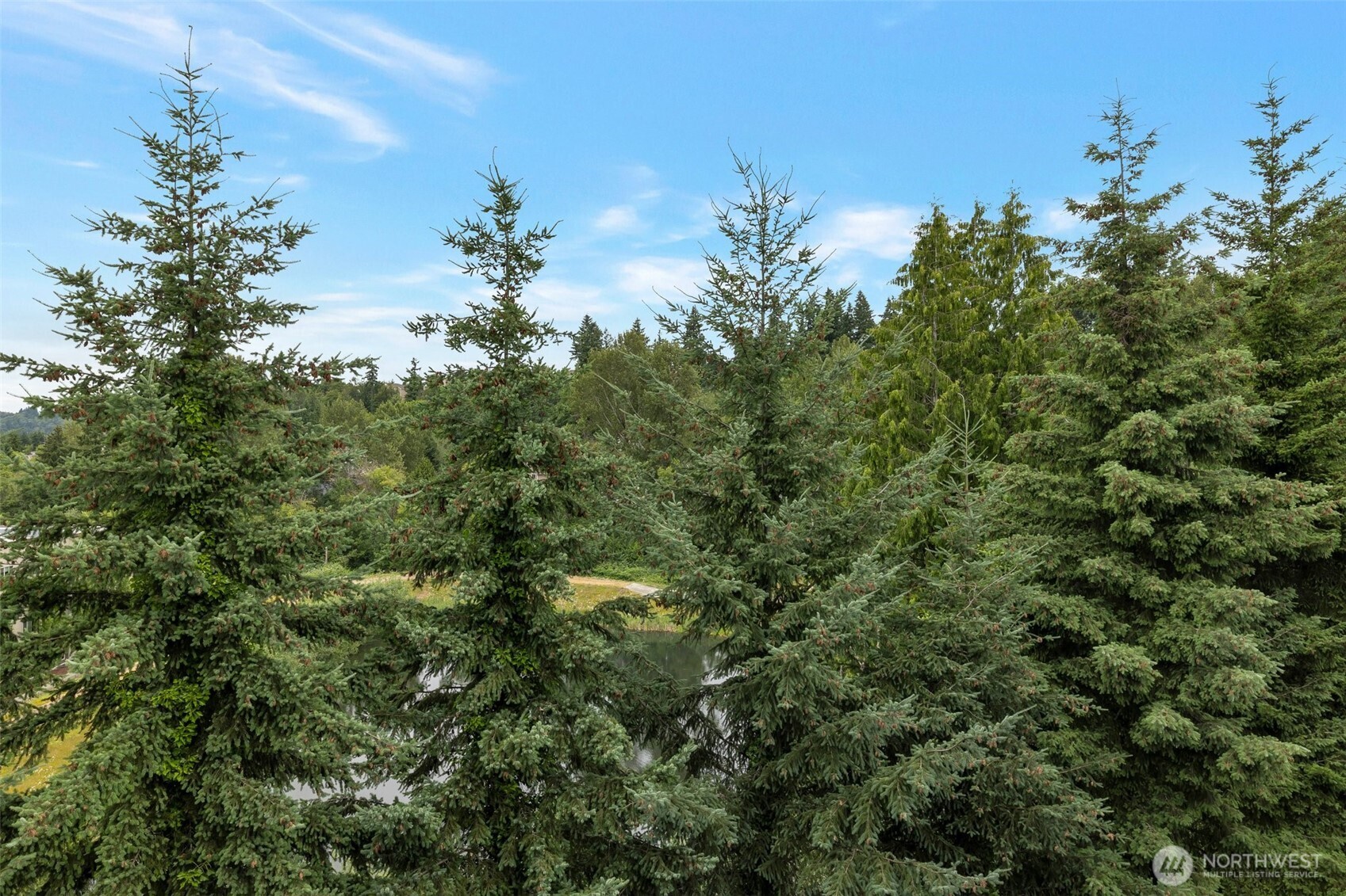 13301 Southeast 79th Place, Unit B402 Newcastle, WA 98059 - Photo 25 of 25 a view of a tree in a yard