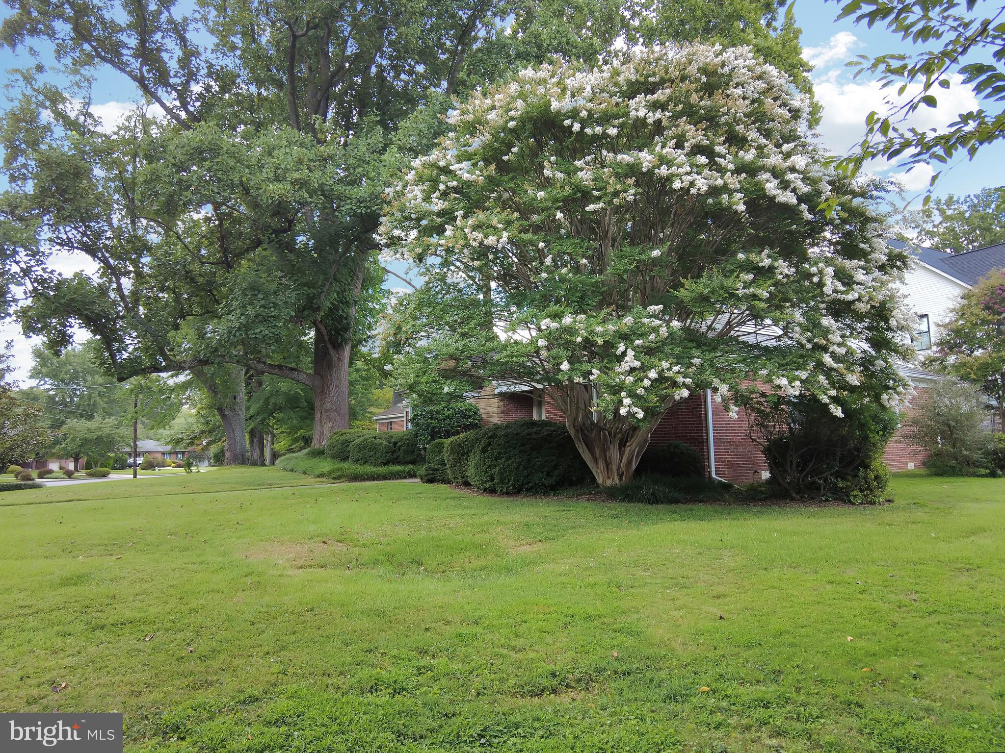 9801 Old Spring Road Kensington, MD 20895 - Photo 4 of 38 Gallery Image 4