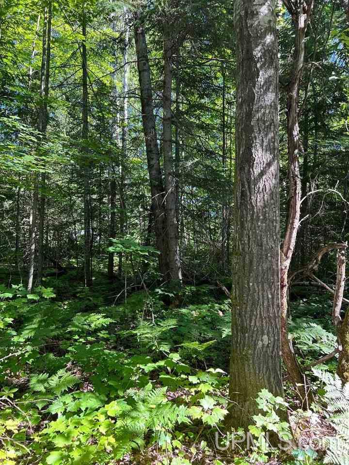 Tbd1 Dog Patch Road, Unit LOT H Lanse, MI 49946 - Photo 11 of 24 Gallery Image 11